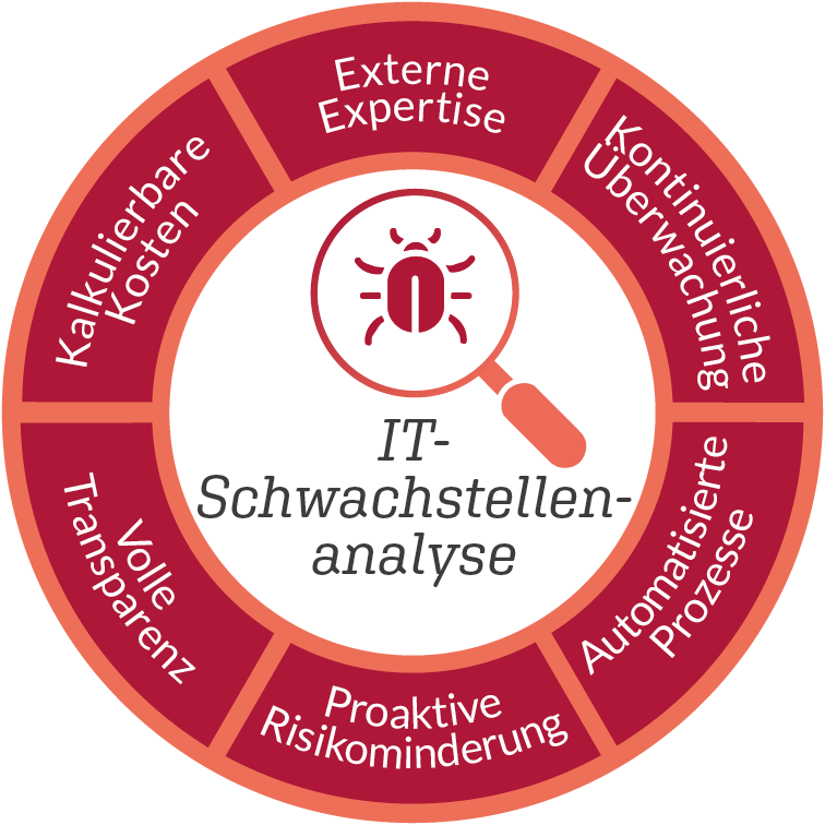 Grafik Vorteile der IT-Schwachstellenanalyse