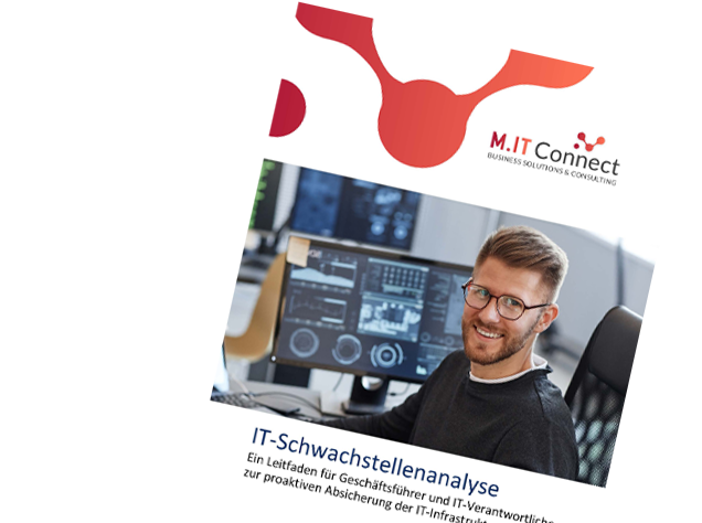 Whitepaper IT-Schwachstellenanalyse
