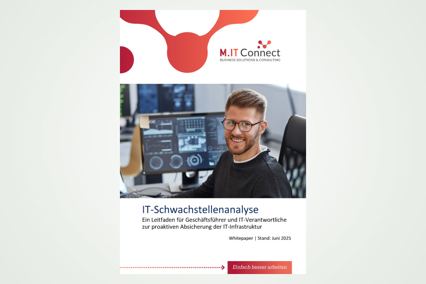 IT-Schwachstellenanalyse – so wichtig ist sie heute